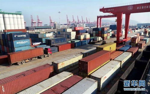 組團出海搶訂單，穩外貿注入新動能