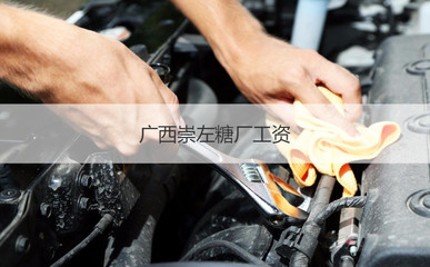 廣西崇左糖廠工資與制糖企業概況 兼談國營貿易管理貨物的進出口特點