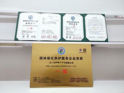 上海市企業(yè)一站式代辦服務(wù) 營(yíng)業(yè)執(zhí)照、務(wù)代碼證、財(cái)務(wù)咨詢與代理記賬全解析